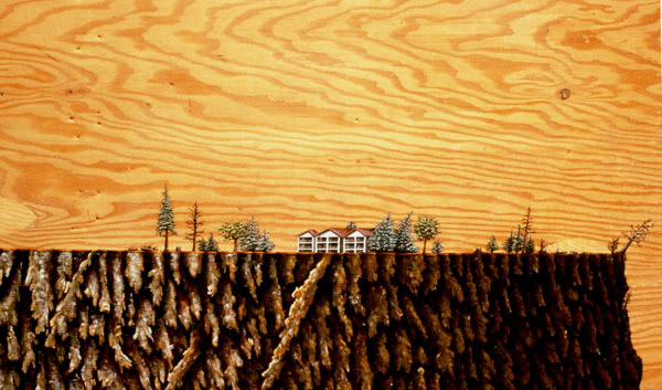 Homesteading (detail), David Lefkowitz, 1999