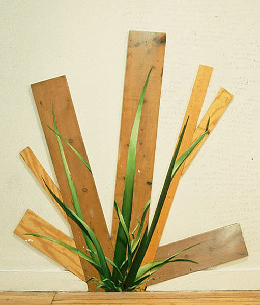 Tall Grass Hybrid, David Lefkowitz, 1997