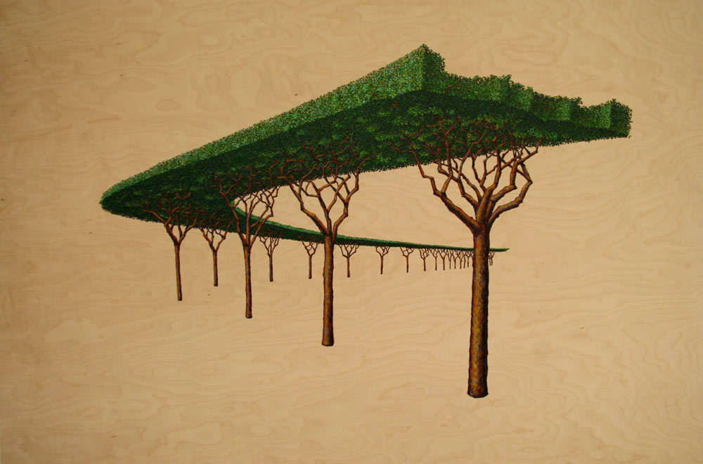 Canopy, David Lefkowitz, 2008