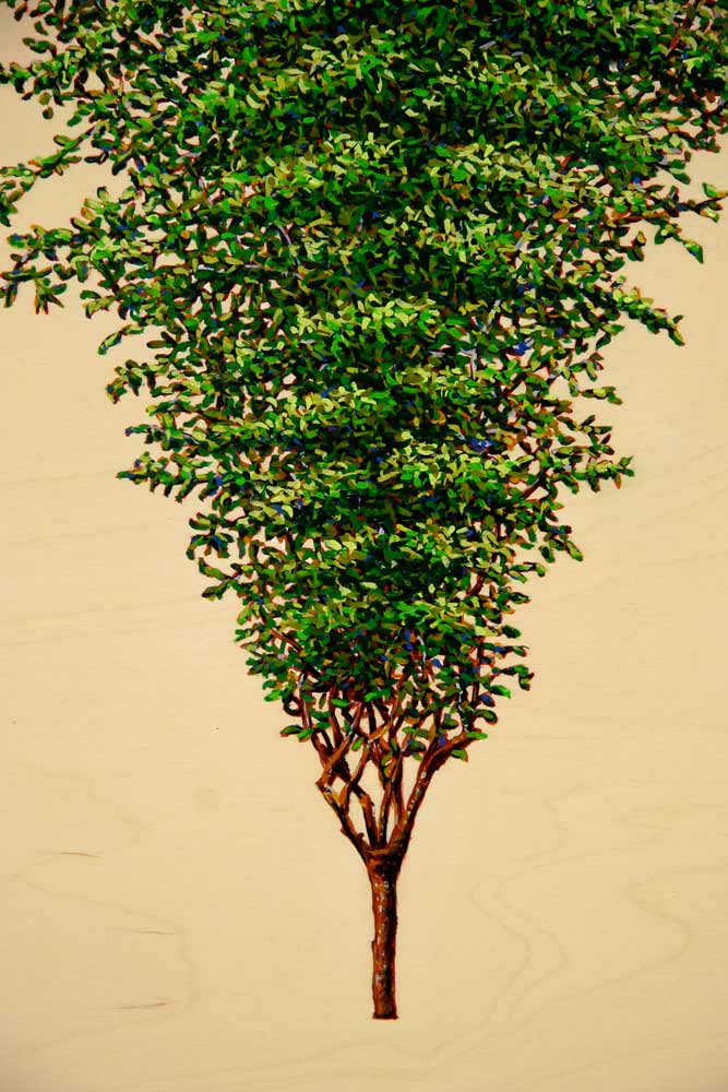 Inverted Pine (detail), David Lefkowitz, 2008