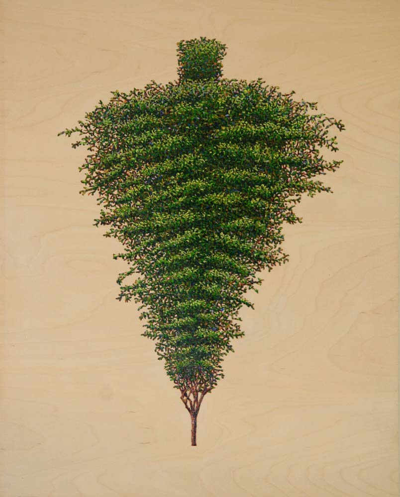 Inverted Pine, David Lefkowitz, 2008