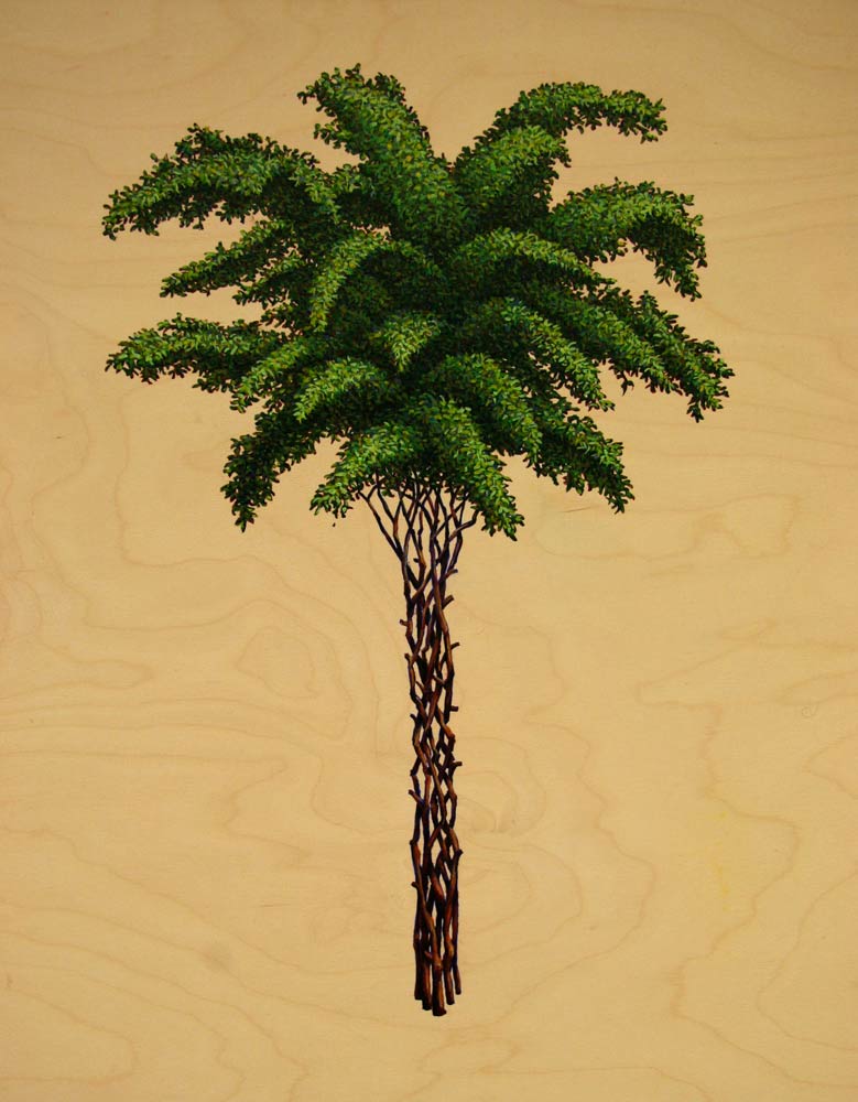 Palm, David Lefkowitz, 2008