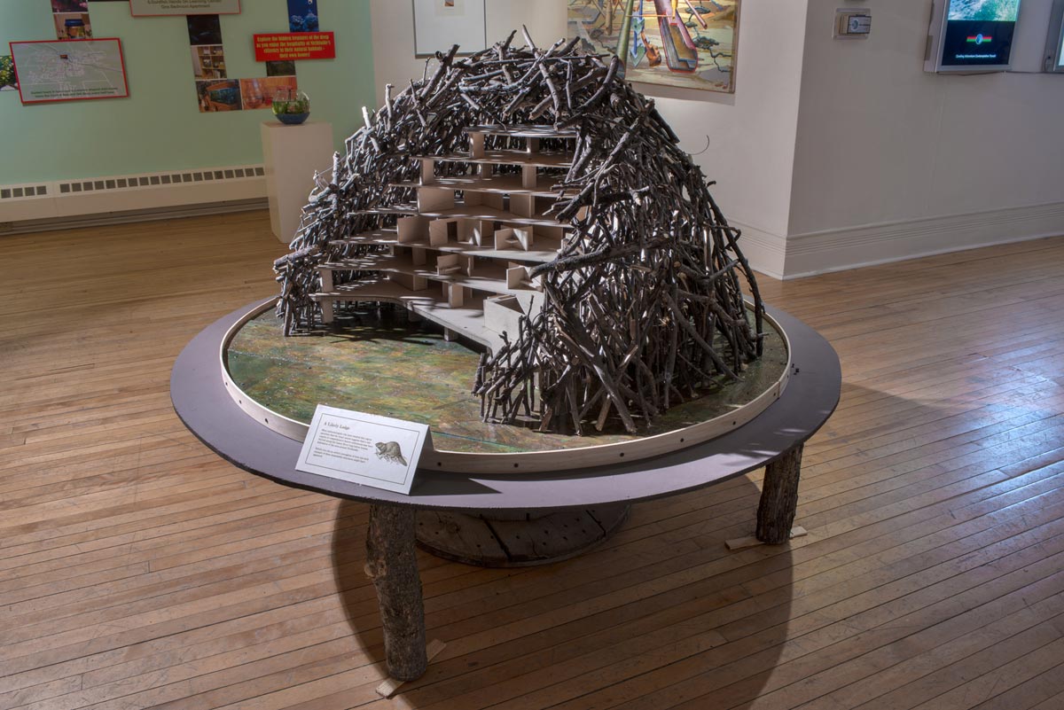 Busywork: Beaver Lodge Model, David Lefkowitz, 2013